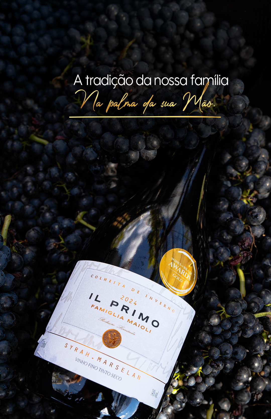 Il Primo Syrah Marselan, medalha de ouro. A tradicao da nossa familia na palma da sua mao.