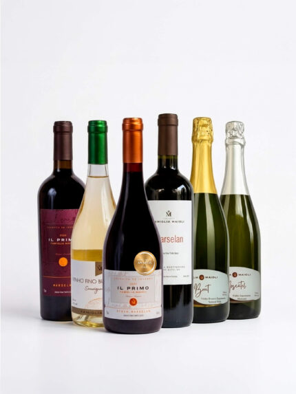 Kit Degustação Completo: Vinhos Il Primo Marselan, Blend, Branco e Espumantes